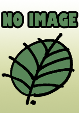 no_image