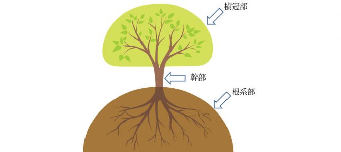 成長と大きさの限界について（荒田 鉄二：MailNews 2013年10月号）