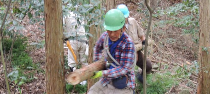 里野山家だより（佐藤 秀一：MailNews 2018年3月号）